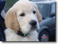 Pvn� den u nov�ch p�n��k�.