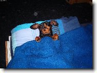 neru�it, odpo��v�!