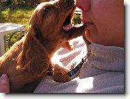 J� T� kousnu........