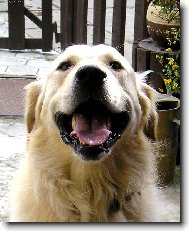 Up��mn� �sm�v