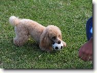 Tak,je mj a te si m bude muset chytit!