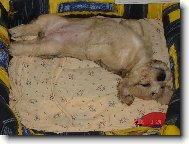 Nechte m� v klidu vyspat!!!