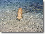 Kde je ta mu�li�ka?