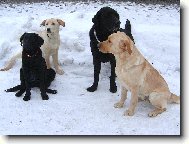 Takov� norm�ln� LAB-rodinka