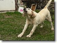 T�k� protahov�n�