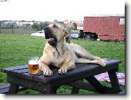 obl�ben� relax na�� fenky Cori