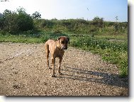 U� zase jdeme??????