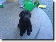 Sed�m spr�vn�?