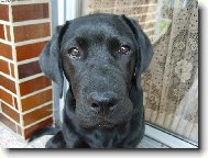 Chces mi n�co ��ct??