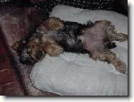 ���ch,to je pohoda