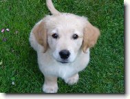 kuk!to jsem j� Akim