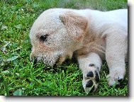 Romantick� �t���tko