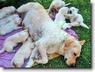 Nej��asn�j�� denn� doba