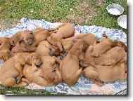 Hlavn� aby bylo teplou�ko :-)