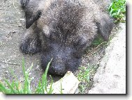 Neru�it....spink�m...