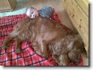 Nen� nad to se p�kn� p�itulit...