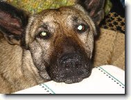 D� mi hlas....? Smutn� kouk�m...