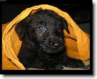 Dobr� r�no\.\.\.:\)