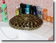 Tak tohle se jen tak nevid!