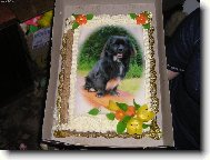 no nejsem k nakousnut?