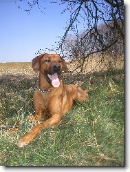 Dnes, je ale va�ne hezky...