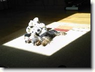 ply��ci na slnie�ku:-)