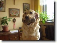 Kam j� si je jen schov�m ???