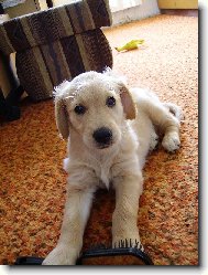 Prvn� den v nov�m domov�