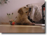 A teď ho chceš vrátit ?