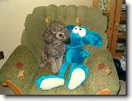 To mám ale okatého kamaráda, že?