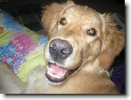 Robin náš drobeček