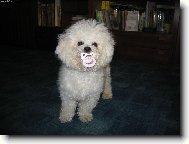 To jsem nael a nikomu to nedm