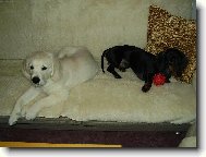 kamaradi na celý život