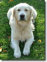 Tady hl�d�m j�!