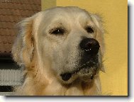 Kdy u� bude ve�e�e?