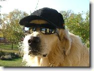 A jdeme na koupali�t�.