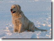 Kde m�m ty ly�e?