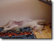 Obl�ben� poloha na span�...