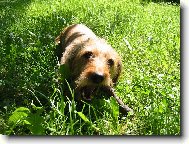 M�m r�da klac�ky