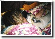 Terezka-tulivec už odmala