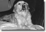 na�e mal� Eminka