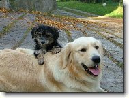 to jsme kamar�di co...