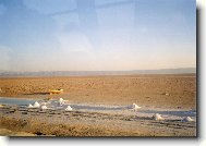 Tapety na plochu: 461