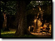 Tapety na plochu: 3502