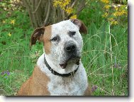 Tapety na plochu: 756