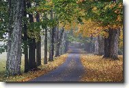 Tapety na plochu: 2395