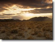 Tapety na plochu: 2398