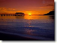 Tapety na plochu: 2486