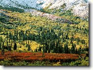 Tapety na plochu: 2701