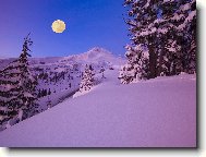 Tapety na plochu: 2795